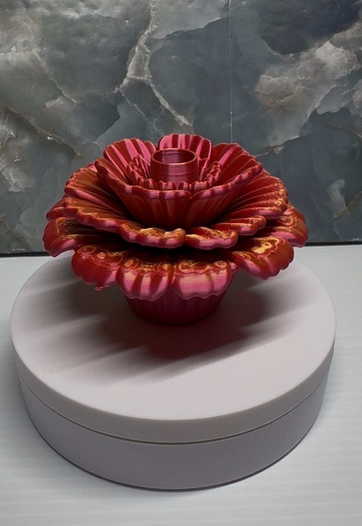 Cempusishi Flor single Pen Display